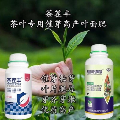 为峰肥业茶叶叶面肥怎么用