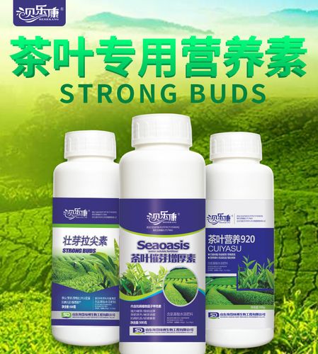 贝乐康 茶叶催芽增厚素 肥料 茶叶专用叶面肥 微量元素叶面肥 冲施肥
